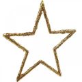 Floristik24 Étoiles pailletées, décorations de l&#39;avent, décorations étoiles à accrocher, décorations de Noël dorées 11,5 × 12cm 12pcs