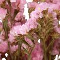 Floristik24 Fleurs Séchées Lilas Rose Limonium Plage 60cm 50g