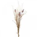 Capsules coquelicot déco fleurs séchées fougère artificielle crème 63cm