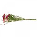 Floristik24 Rhodanthe rose-rose, fleurs en soie, plante artificielle, bouquet de fleurs en paille L46cm