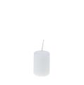 Floristik24 Bougies piliers bougies de l&#39;Avent blanches petites bougies 60/40mm 24pcs
