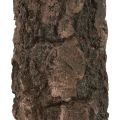 Floristik24 Bougie pilier tronc d&#39;arbre bougie décorative marron 130/65mm 1pc