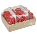 Bougies piliers H100 Ø50cm bougies rouges 12pcs | Floristik24.fr
