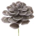 Floristik24 Kunstsucculentes en cire gris-vert 10cm Lot de 6