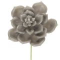Floristik24 Kalanchoé artificielle en cire avec tige en fil de fer 8 cm, lot de 8