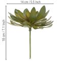 Lot de 3 succulentes artificielles vertes 18 cm pour décoration intérieure | Floristik24.fr