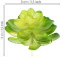 Kunstplantes succulentes vertes en ensemble de 4 pour décoration de vase ou bol, 10 cm | Floristik24.fr