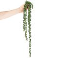 Kunstpflanze Guirlande Suspendue Succulente 80 cm Vert | Floristik24.fr