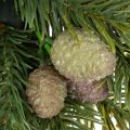 Couronne en branches de sapin artificielles avec pommes de pin 30 cm | Floristik24.fr