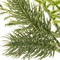 Branche de sapin artificielle