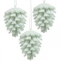 Floristik24 Pommes de pin cônes décoratifs à suspendre blanc 7cm 6pcs