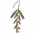 Floristik24 ProductNameDeux branches de sapin artificielles avec mini-boules blanc champagne, 46 cm/ProductName

ProductDescription<h2>Branche de sapin artificielle avec mini-boules pour décorer la maison</h2>
<p>Ce lot comprend deux branches de sapin artificielles d
