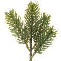 Floristik24 Branche de sapin artificielle verte 25 cm pour décoration hivernale, lot de 24