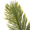 Branche de sapin artificielle verte 25 cm pour décoration hivernale, lot de 24 | Floristik24.fr