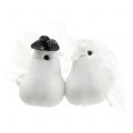 Floristik24 Couple de colombes blanches sur clip 10 cm 3 p
