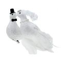 Floristik24 Paire de pigeons 22cm sur clip blanc