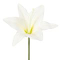 Floristik24 Kunstblume Lys Tigre blanc 29 cm bouquet de 6 pièces