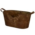 Floristik24 Coupe ovale en métal avec poignées et motif cerf, finition rouille, 36 cm