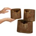 Pots décoratifs ovales en