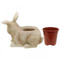 Décoration de Pâques à planter, lapin et poussin, printemps, cache-pot H24cm L30cm