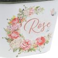 Floristik24 Jardinière, roses décoratives en pot, coupe fleurie L19cm H12.5cm