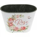 Floristik24 Jardinière, roses décoratives en pot, coupe fleurie L19cm H12.5cm