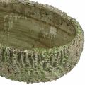 Floristik24 Jardinière béton ovale aspect antique vert, marron 24×14×13cm
