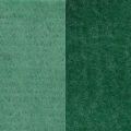 Floristik24 Ruban feutre, ruban pot, ruban laine bicolore vert 15cm 5m
