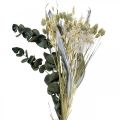 Bouquet séché de chardon eucalyptus séché argent 64cm