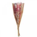 Floristik24 Bouquet de fleurs séchées rose blanc phalaris masterwort 80cm 160g