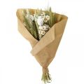 Floristik24 Bouquet de fleurs séchées paille fleurs grain coquelicot capsule herbe sèche 50cm