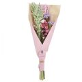 Floristik24 Bouquet de fleurs séchées fleurs de paille plage lilas rose 58cm