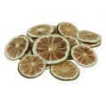 Floristik24 Tranches de citron vert vert 500g de tranches de citron vert