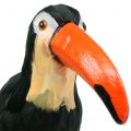Floristik24 Déco toucan à plumes noir L37cm