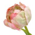 Floristik24 Tulipe rose, vert 37cm 6pcs