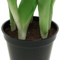 Tulipe rose, verte en pot Tulipe décorative artificielle en pot H23cm