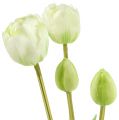 Floristik24 Tulipes en blanc et crème L43,5cm l’effet « real touch » 5P