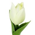 Floristik24 Décoration printanière, tulipes artificielles, fleurs en soie, tulipes décoratives vert/crème 12 pièces