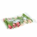 Floristik24 Tulipe mix fleurs artificielles abricot rose 16cm 12pcs