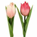Floristik24 Tulipe mix fleurs artificielles abricot rose 16cm 12pcs