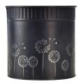 Floristik24 Jardinière Pot de Fleur Pissenlit Noir Ø9,5cm H11cm