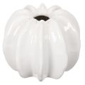 Floristik24 Vase en céramique blanche en forme de citrouille 15 cm décoration intérieure