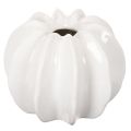Floristik24 Vase décorative citrouille blanche brillante 19 cm pour fleurs artificielles
