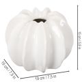 Vase décorative citrouille blanche brillante 19 cm pour fleurs artificielles | Floristik24.fr