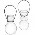 Floristik24 Mini vases en verre pour support suspendu bulbeux H11/11,5cm lot de 2