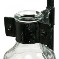 Floristik24 Vase décoratif verre bouteille décorative avec support en métal noir Ø13cm