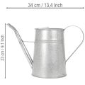 Arrosoir décoratif galvanisé, métal gris, style vintage, 1,7 L, H 23 cm, idéal pour les décorations florales et les jardinières élégantes. | Floristik24.fr