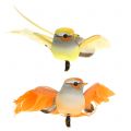 Floristik24 Oiseau sur clip orange 14cm 8pcs