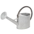 Floristik24 Arrosoir vintage en métal gris argenté, élégant objet de décoration de jardin, vase à fleurs, L 53 cm x H 29 cm