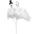 Floristik24 Oiseaux blancs jeunes mariés 38 cm